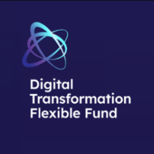 Digital Transformation Fund Support